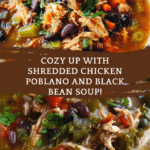 Shredded Chicken Poblano and Black Bean Soup