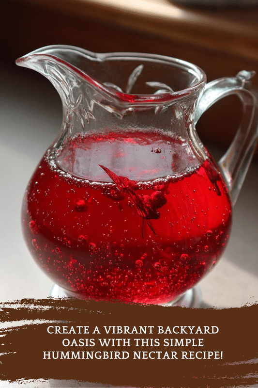 hummingbird nectar recipe