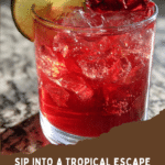 Crimson Hibiscus Rum Punch