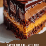 Pumpkin Chocolate Mousse Cake