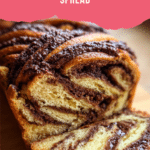 Babka with Hazelnut Chocolate Spread