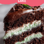 Chocolate Peppermint Cake