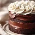 Close-up of a rich chocolate cake with vanilla frosting on a clean background.