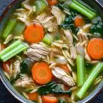 One pot chicken orzo soup - the image is a close-up of a bowl of soup. the soup appears to be a type of noodle soup with chunks of chicken, carrots, celery, and other vegetables mixed in. the broth is a light brown color and looks thick and creamy. the vegetables are bright orange and appear to be fresh and vibrant. the bowl is made of ceramic and is sitting on a dark grey countertop. the background is blurred, making the soup the focal point of the image.