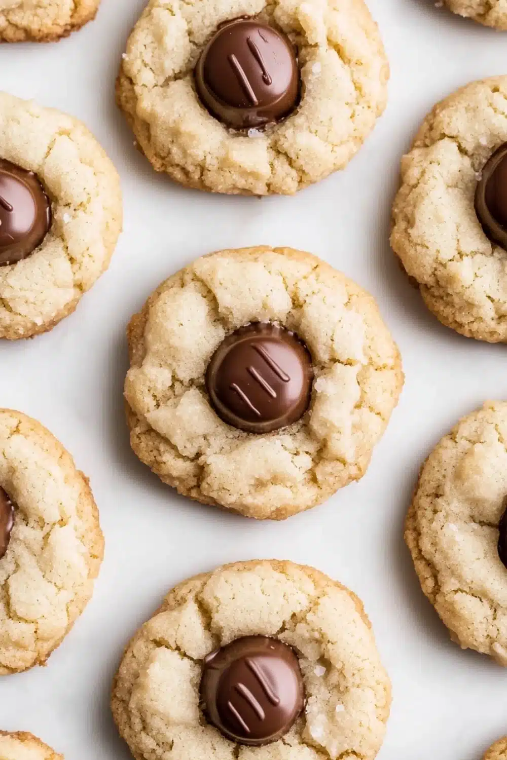 Sugar cookie kisses - the image shows a group of freshly baked cookies on a white surface. the cookies are round and golden brown in color, with a crumbly texture. they are arranged in a scattered manner, with some overlapping each other. some of the cookies have a bite taken out of one of them, revealing the chocolate filling inside. the chocolate filling is a dark brown color and appears to be in the shape of a letter "m". the cookies appear to be soft and chewy, and the texture is slightly uneven.