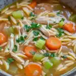 Chicken noodle soup with orzo - the image is a close-up of a bowl of soup. the soup appears to be a type of noodle soup with chunks of chicken, carrots, celery, and other vegetables mixed in. the bowl is made of ceramic and has a brown rim. the broth is a light brown color and looks thick and creamy. there are also some sprigs of parsley scattered throughout the soup, adding a pop of green color to the dish. the background is a white tablecloth.