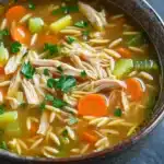 Chicken noodle soup with orzo - the image is a close-up of a bowl of soup. the soup appears to be a type of noodle soup with chunks of chicken, carrots, celery, and other vegetables mixed in. the bowl is made of dark brown ceramic and is sitting on a dark grey surface. there are also some sprigs of parsley scattered throughout the soup, adding a pop of green color to the dish.