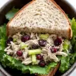 Chicken salad sandwich with cranberries - the image shows a bowl of salad with a slice of bread on top. the salad appears to be made with chicken, celery, and cranberries. the bowl is made of dark brown ceramic and is sitting on a white marble countertop. the bread is toasted and has a golden brown crust. the cranberries are bright red and appear to be ripe and juicy. the celery is a light green color and is scattered throughout the salad. the overall appearance of the salad is fresh and appetizing.