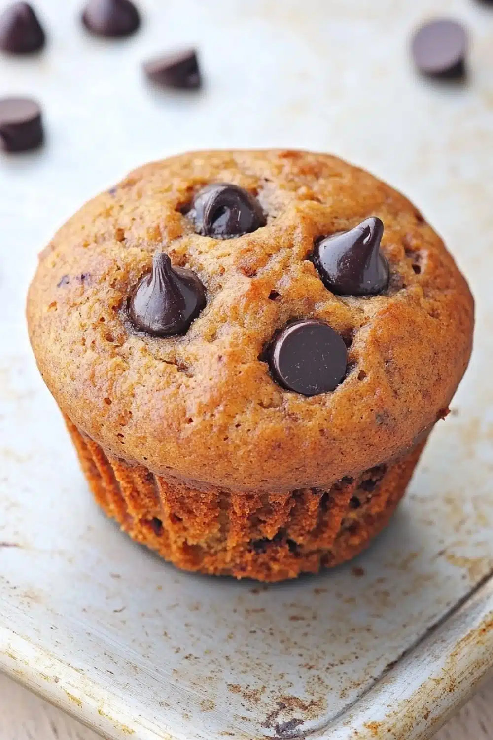 Muffin dolci allo yogurt e cioccolato - the image is of a freshly baked muffin on a white plate. the muffin is golden brown in color and has a crumbly texture. it is topped with chocolate chips, which are arranged in a circular pattern around the edges of the muffin. the plate is sitting on a wooden surface with a few scattered chocolate chips around it. the background is blurred, but it appears to be a kitchen countertop.