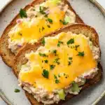 Openfaced tuna melt sandwich - the image shows two slices of bread on a blue and white plate. the bread appears to be toasted and has a golden brown crust. on top of the bread, there is a layer of melted cheese, which is a bright yellow color. the cheese is spread evenly over the bread and is garnished with chopped green herbs. the plate is sitting on a white marble countertop with a sprig of parsley on the side.