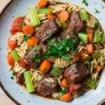 Slow cooker beef orzo - the image is a close-up of a bowl of beef stew. the bowl is made of ceramic and has a light brown color with a speckled pattern. the beef is cooked medium-rare and appears to be beef tenderloin. it is garnished with chopped green onions, carrots, and celery. the noodles are long and thin, and the stew is a rich, dark brown color. the vegetables are bright orange and appear to be cooked in a tomato-based sauce. the dish is served on a wooden table.