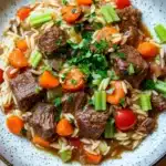 Slow cooker beef orzo - the image is a close-up of a bowl of beef and vegetable stir-fry. the bowl is white with a speckled pattern and has a blue rim. the beef is cooked medium-rare and appears to be beef tenderloin, with chunks of carrots, celery, and onions mixed in. the vegetables are bright orange and look fresh and vibrant. the dish is served on a bed of fluffy white noodles. the background is a wooden table.